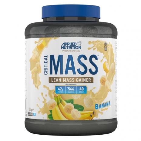 Critical Mass 2.4kg 